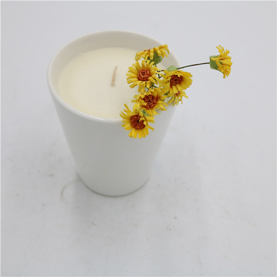6oz Simple White Nature Ceramic Soy Candle Aromatherapy Jar Candle