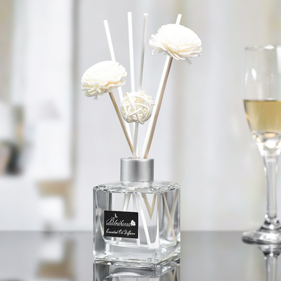 Glass Bottle DPMA Small Aroma Reed Diffuser And Oil 50ml