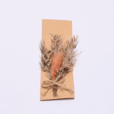 Colorful Pampas Natural Dried Grass 43*15cm For Gift Set