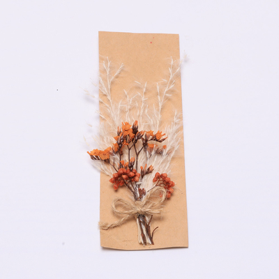 Colorful Pampas Grass Arrangement Artificial 43*15cm