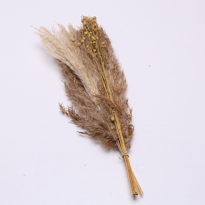 Artificial Pampas Grass Arrangement Length 35cm