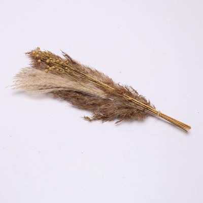 Artificial Pampas Grass Arrangement Length 35cm