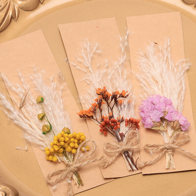 Opp Bag Pampas Natural Dried Grass Potpourri 43*15cm