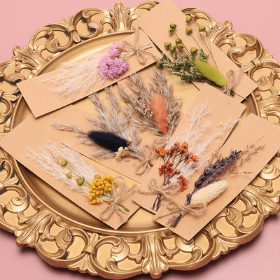 Opp Bag Pampas Natural Dried Grass Potpourri 43*15cm