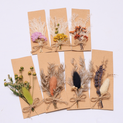 Opp Bag Pampas Natural Dried Grass Potpourri 43*15cm
