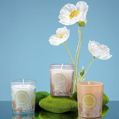 Wedding Party Colorful Pinecone Reed Diffuser Scented Candle Jar Gift Set 60g 50ml