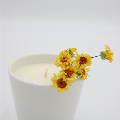 6oz Simple White Nature Ceramic Soy Candle Aromatherapy Jar Candle